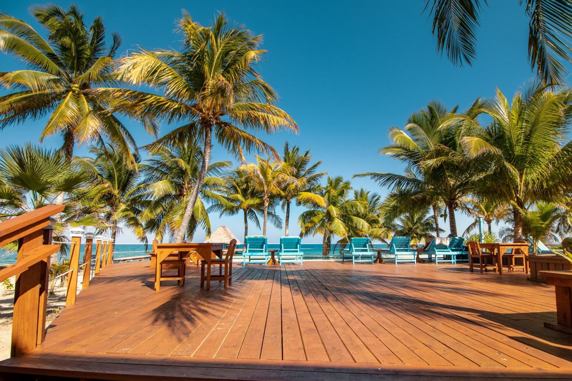 Beachside Villas Gold Standard Certified Placencia الغرفة الصورة