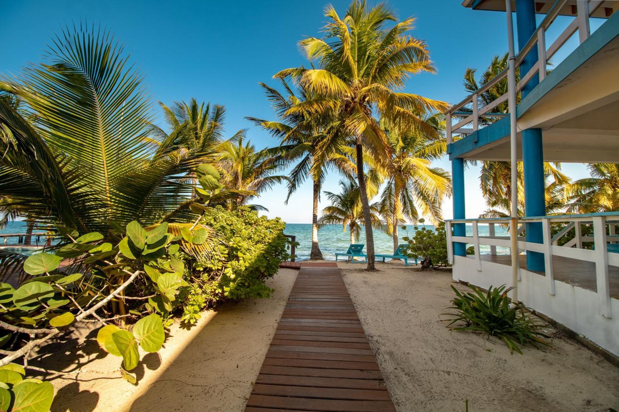 Beachside Villas Gold Standard Certified Placencia الغرفة الصورة