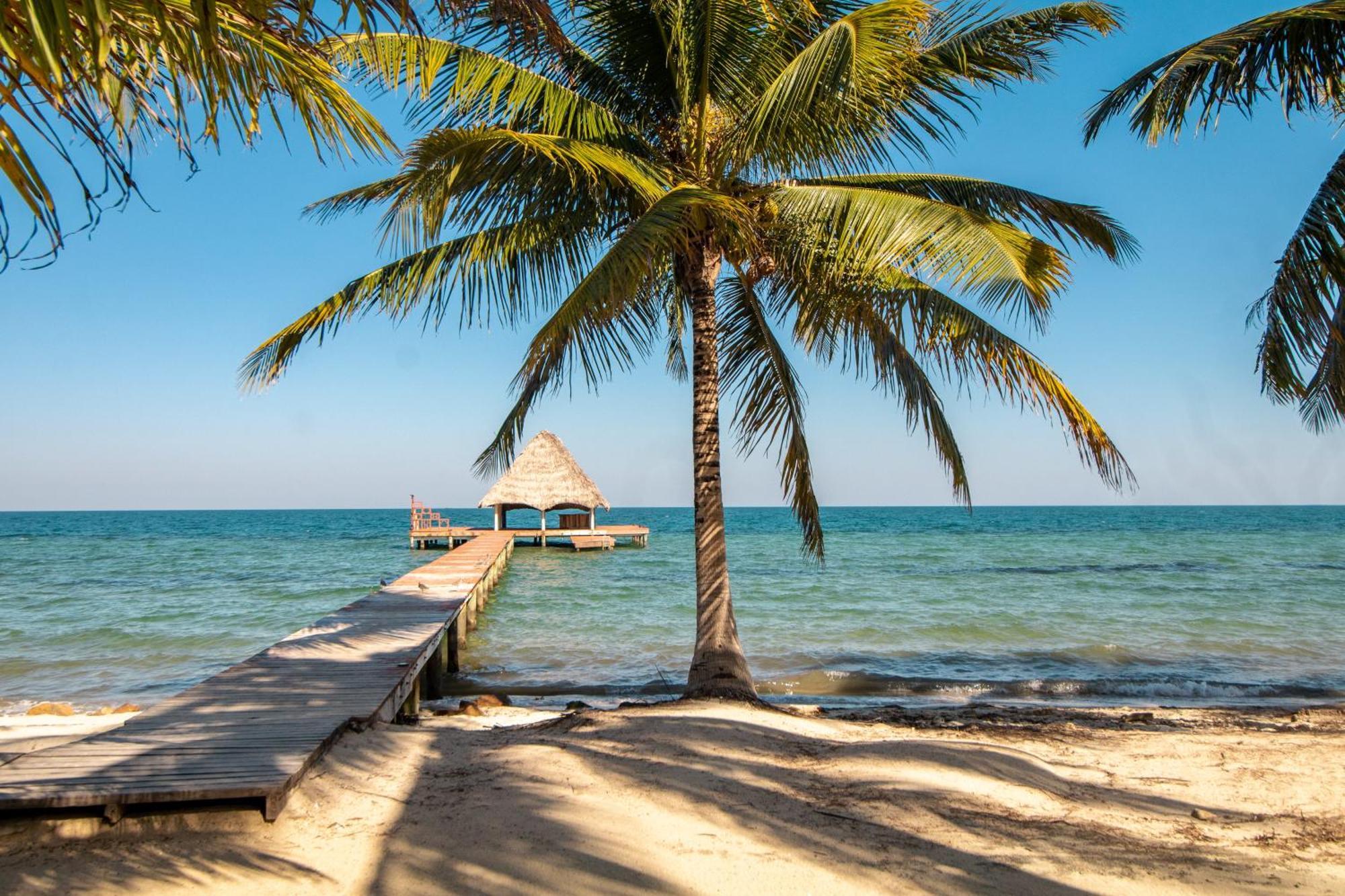 Beachside Villas Gold Standard Certified Placencia الغرفة الصورة