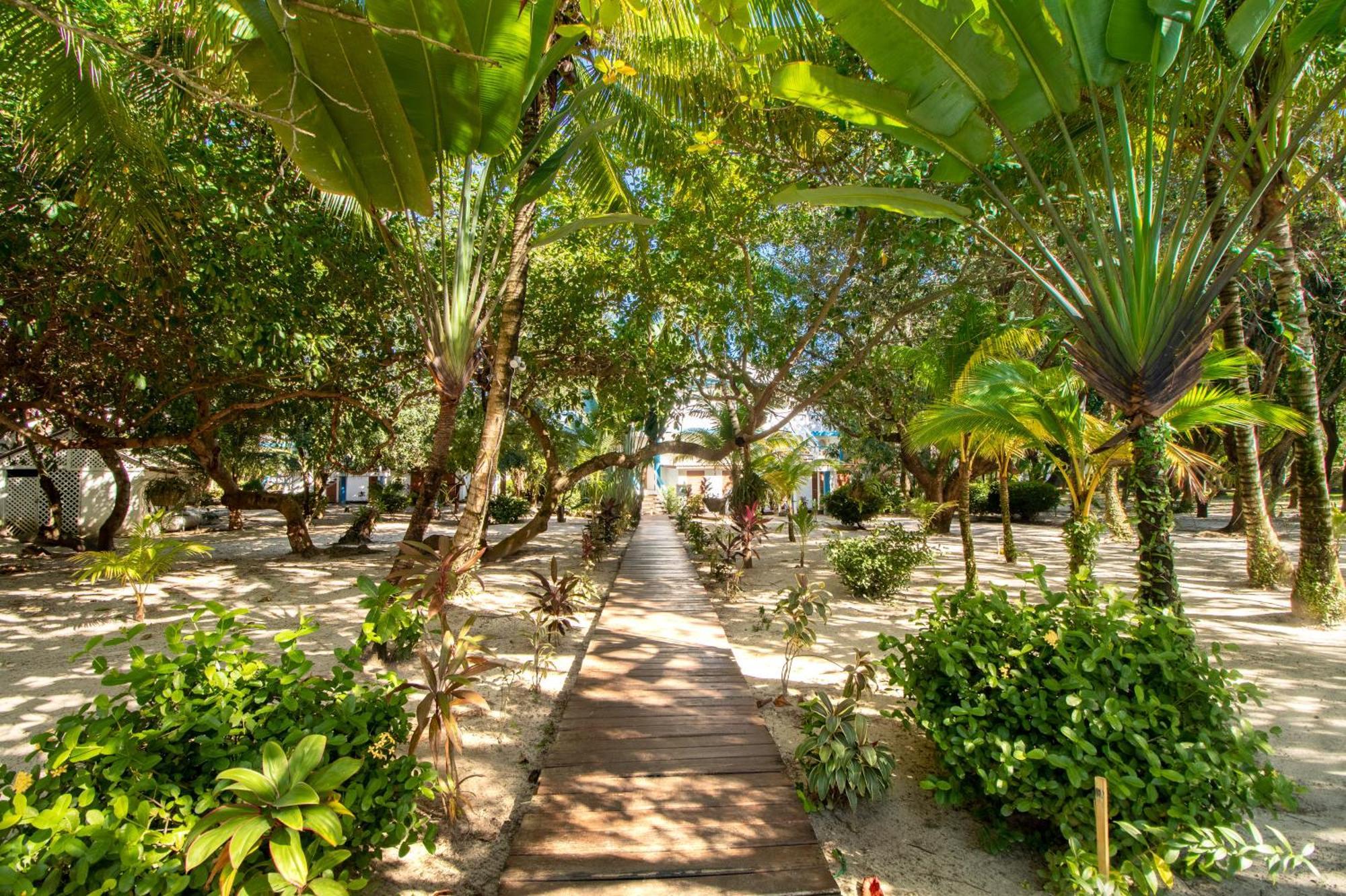 Beachside Villas Gold Standard Certified Placencia الغرفة الصورة