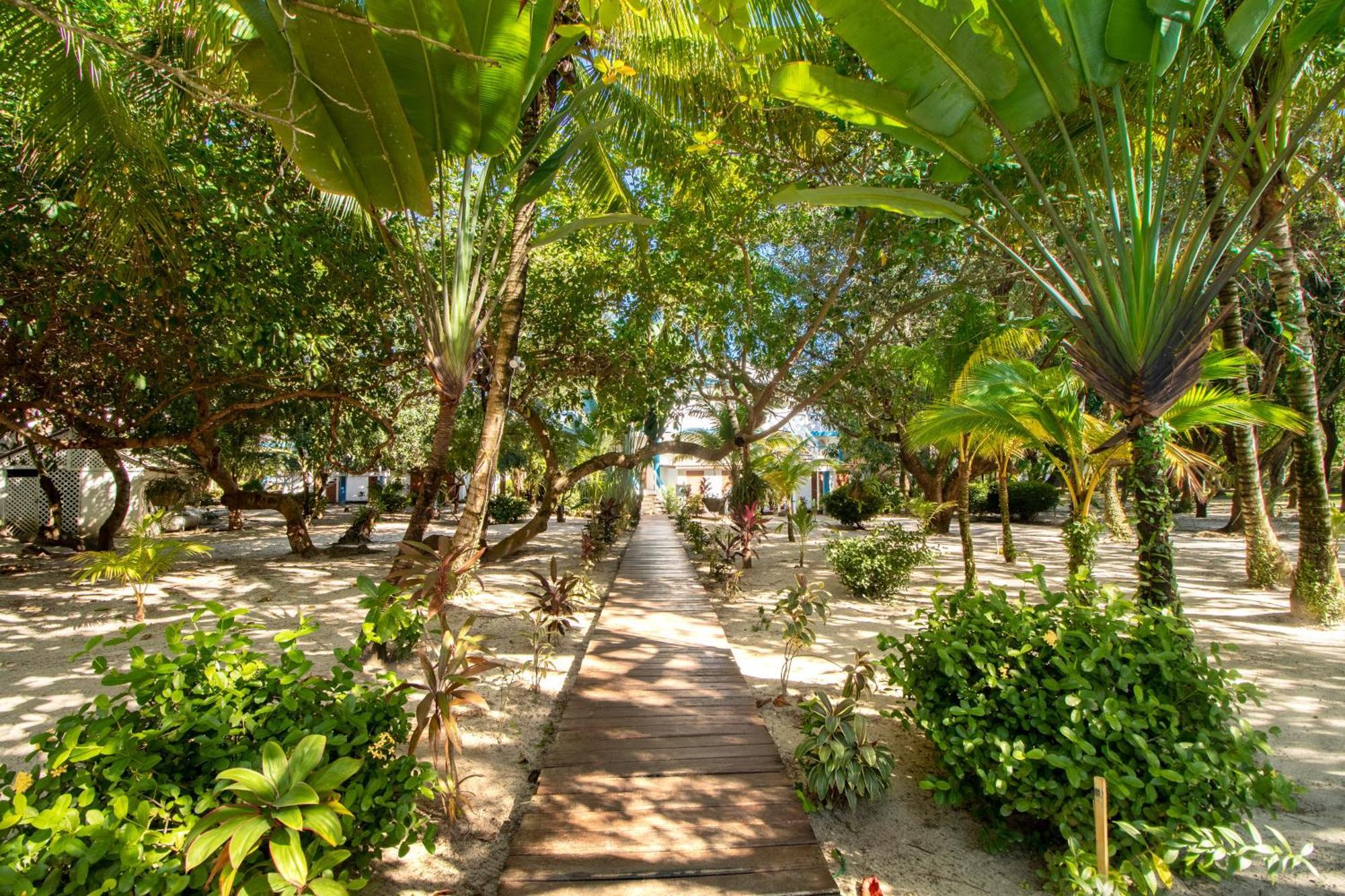 Beachside Villas Gold Standard Certified Placencia الغرفة الصورة